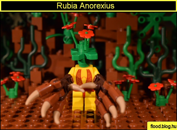 Rubia Anorexius